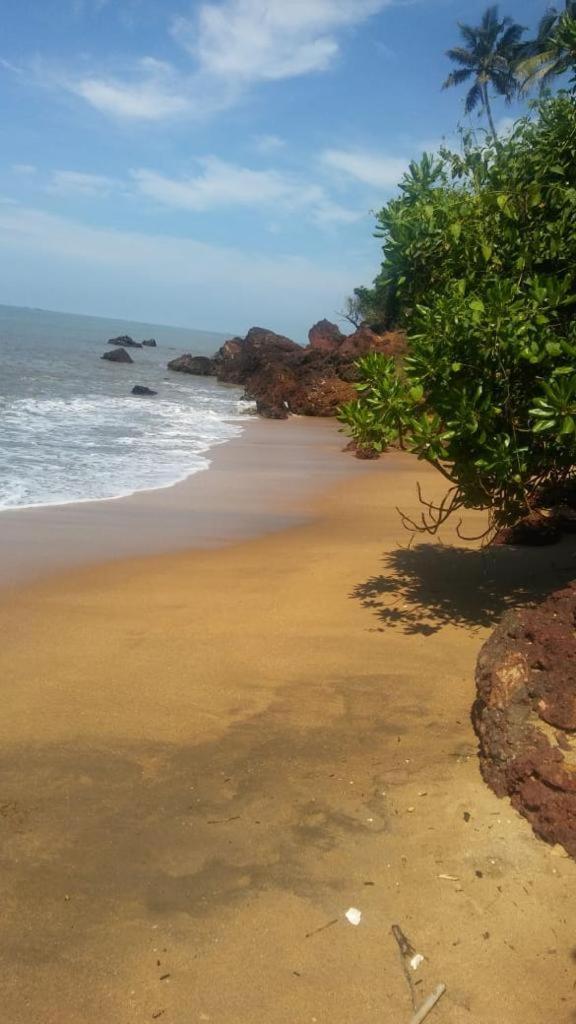 Manshore Bay Kannur Dış mekan fotoğraf